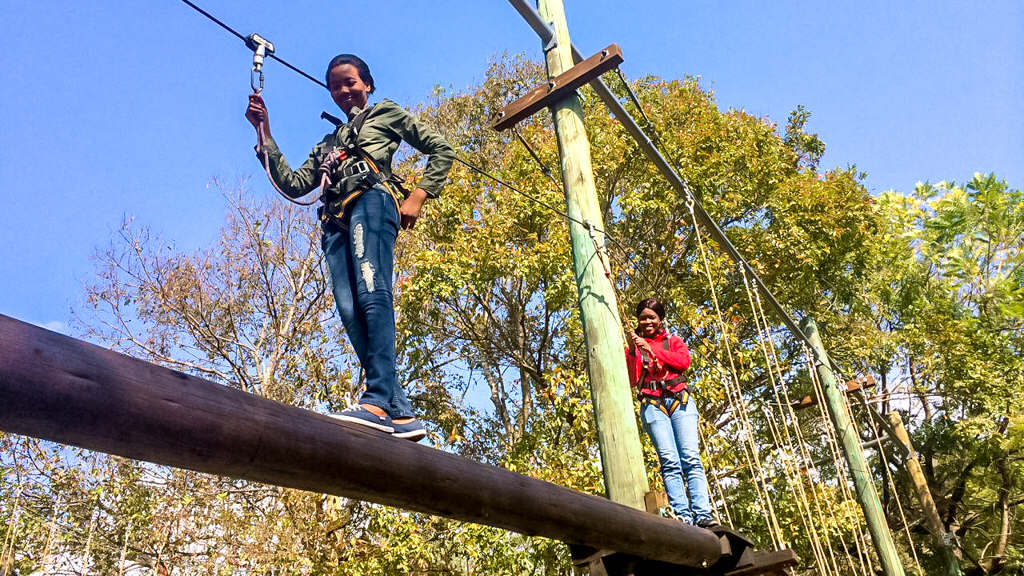 Tree Top Challenge